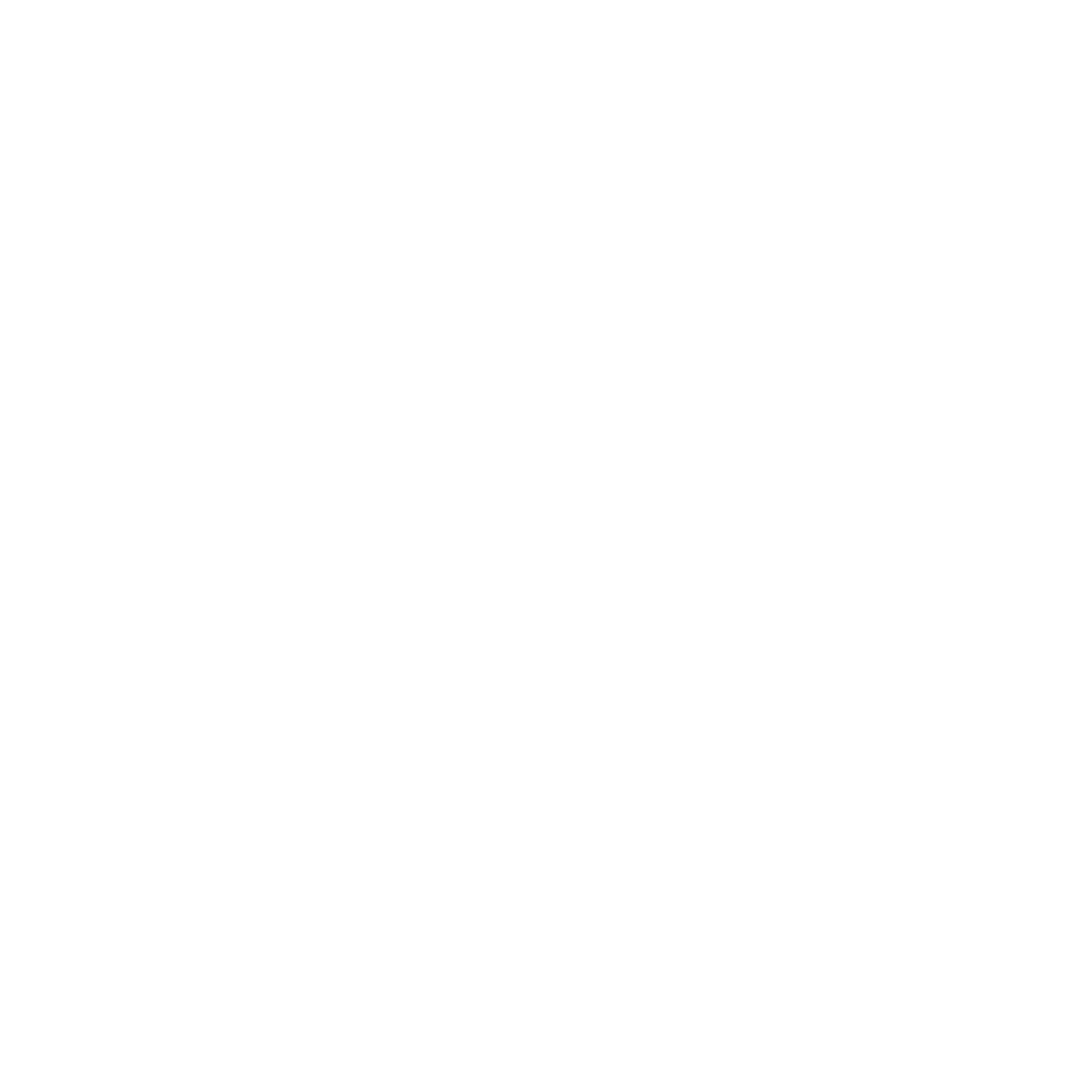 Pegasus Groupe